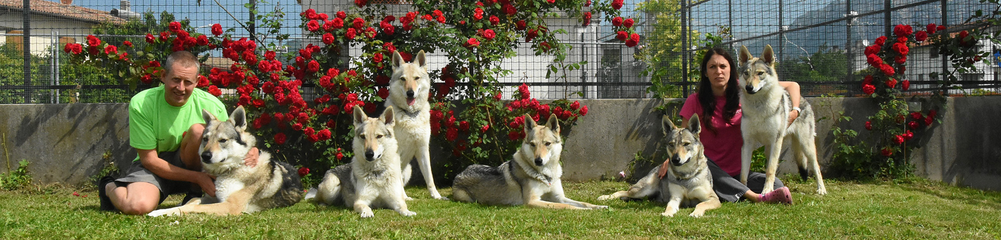 gruppo